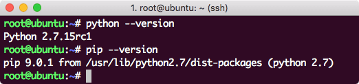 Python & PIP Version