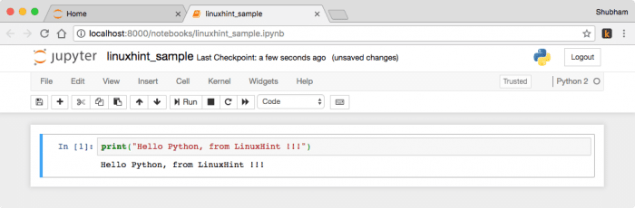 Execute Python notebook